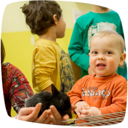 Offene Stellen in der Kindertagesstätte Haus für Kinder in Nördlingen