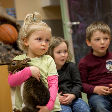 Der Kindergarten der Kindertagesstätte Haus für Kinder in Nördlingen